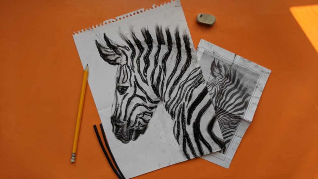 artist starting to learn art study on value